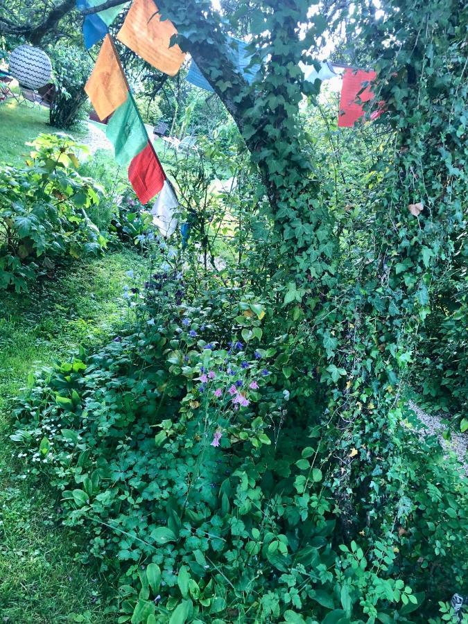 Bed and Breakfast Les Glycines De Bougy Exterior foto